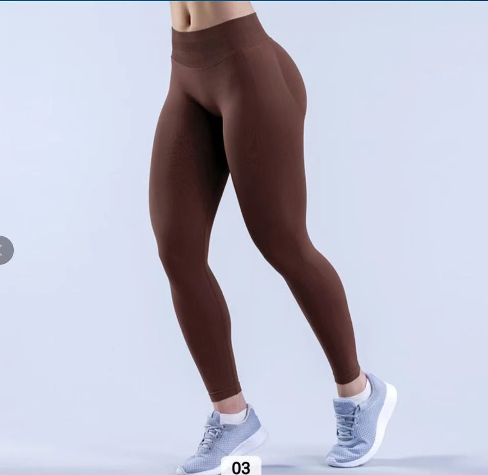 ORYN Seamless Sculpt Leggings